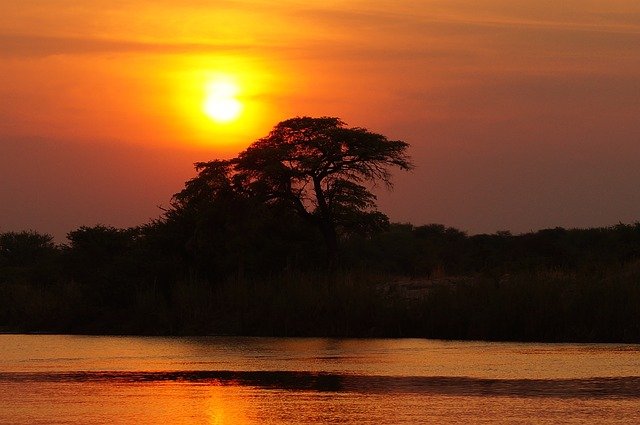 Les meilleurs sites à découvrir au cours d’une aventure au Botswana